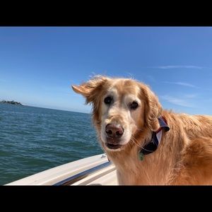 Meet your Posher, Vicki